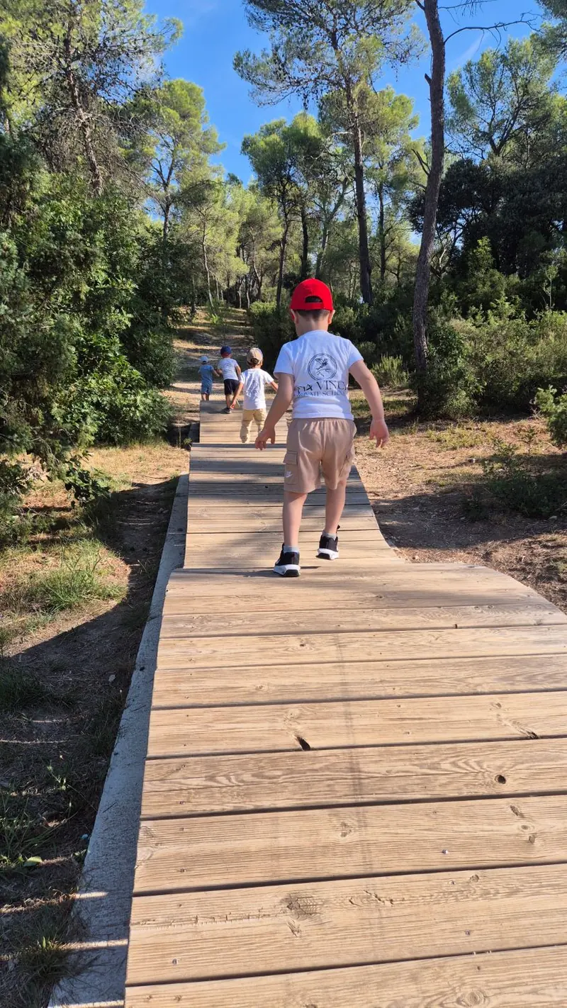 Des enfants en t-shirt Da Vinci, de dos, marchent sur un chemin de planches dans la pinède