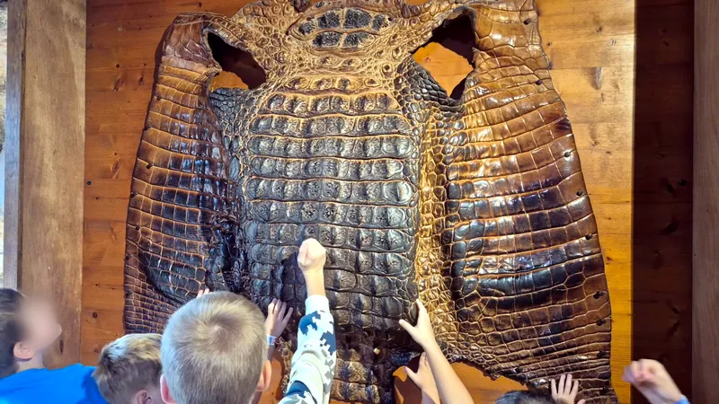 Des enfants, de dos, posent la main sur une grande peau de crocodile accrochée au mur ; le visage d'un garçon, de profil, est flouté