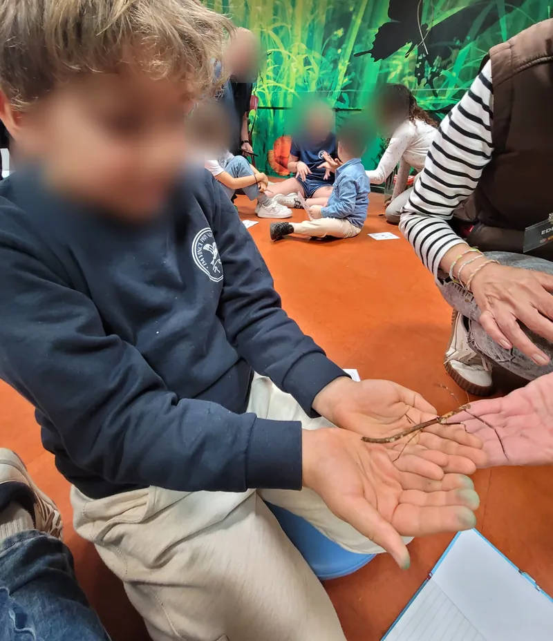 Pendant l'atelier, un enfant reçoit un phasme dans ses mains ; d'autres enfants sont assis par terre au fond de la salle ; visages floutés