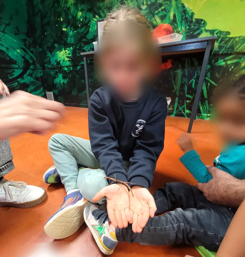 Assise en tailleur, une enfant en sweat-shirt Da Vinci Private School tient un phasme dans ses mains ouvertes, à côté d'une enfant de maternelle ; visages floutés
