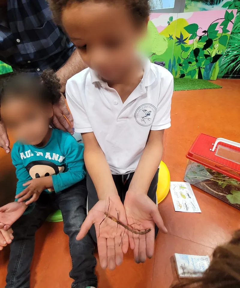 Un enfant en polo Da Vinci Private School tient un phasme brun dans ses mains ouvertes ; à côté, une enfant de maternelle le regarde ; visages floutés