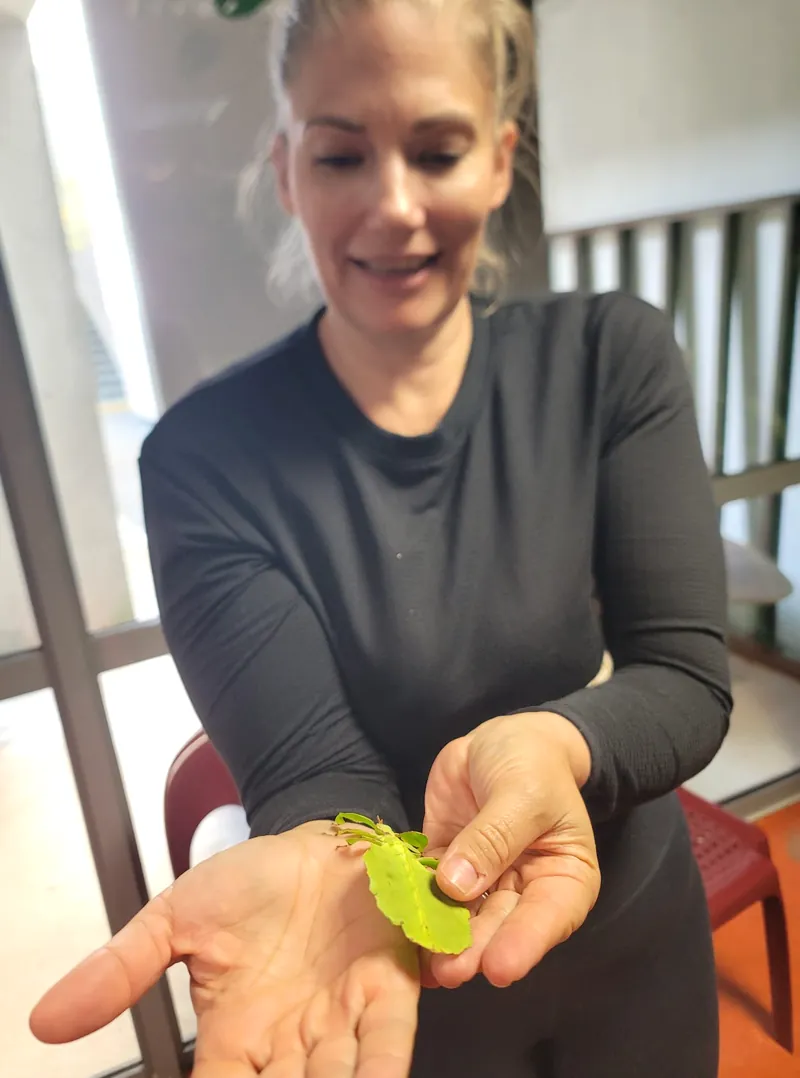 Pernille Kongstad, directrice, tient une phyllie, un phasme vert en forme de feuille, au creux de sa main