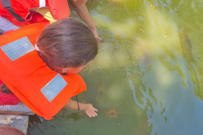 Une enfant en gilet de sauvetage touche l'eau du bout des doigts, penchée depuis un ponton