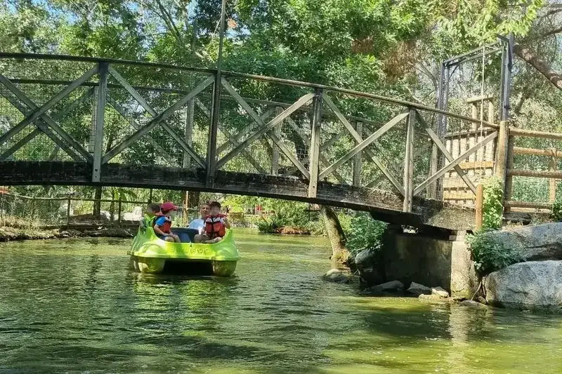 Des enfants de maternelle avec gilets de sauvetage en pédalo, sous une passerelle en bois