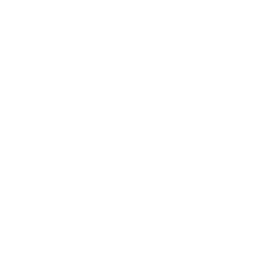 Logo blanc - Da Vinci Private School